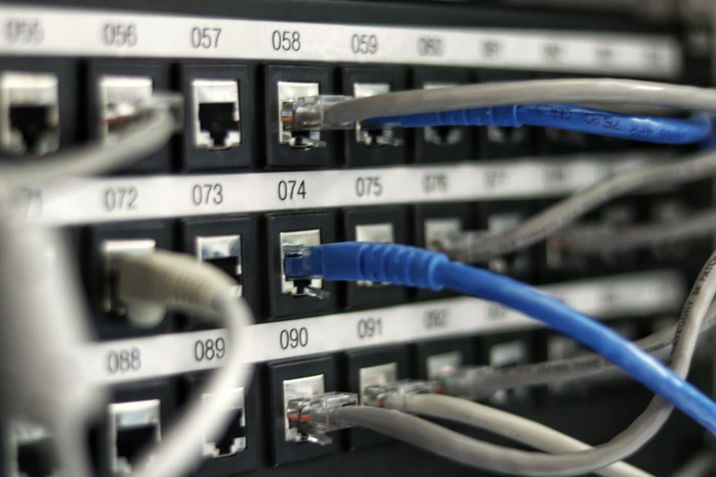 Illustrative close-up of a structured network patch panel with labelled ports and connected cabling.